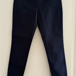Club Monaco Navy Skinny Leg Pant